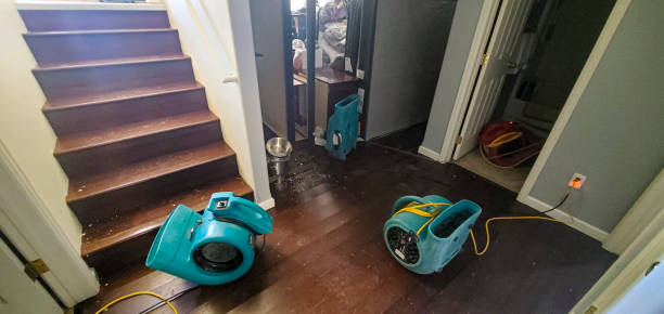 Best Water damage restoration insurance claims  in Byron, IL