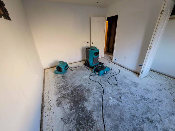 Best Fire Damage Restoration  in Byron, IL