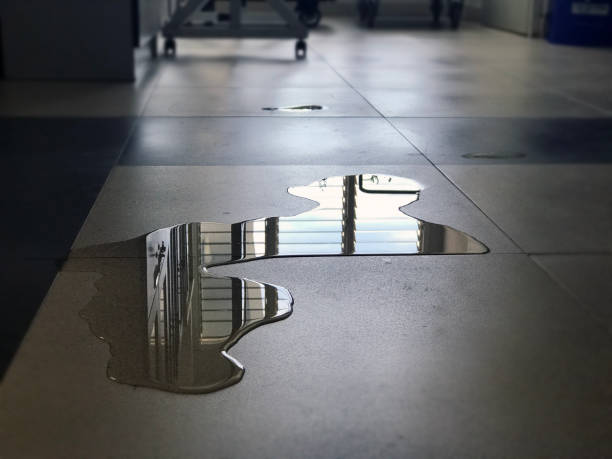 Best 24-hour water damage restoration  in Byron, IL