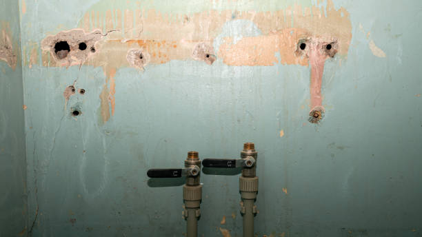 Best Flooded house restoration  in Byron, IL