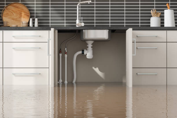 Best Emergency water damage restoration  in Byron, IL