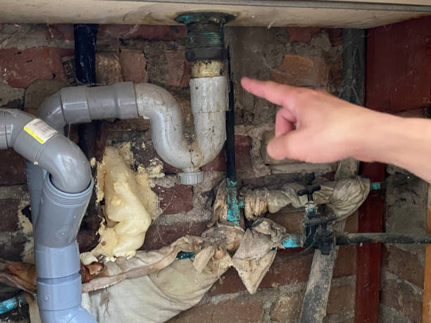 Best Professional water damage repair  in Byron, IL