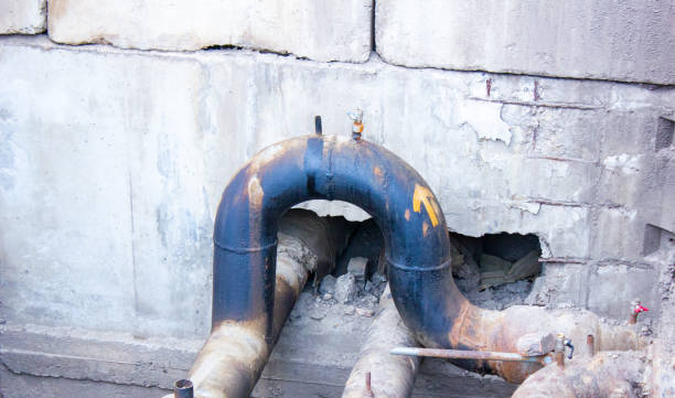 Best Carpet water damage restoration  in Byron, IL