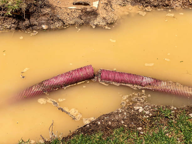Best Commercial water damage restoration  in Byron, IL